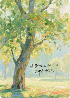 【抖音】砚边烬全文阅读