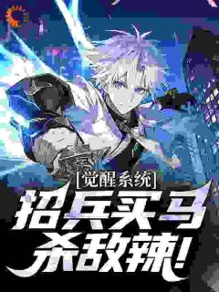 百度贴吧小说抗战：李云龙！你管这叫一个团？，主角李云龙沈泉全文免费
