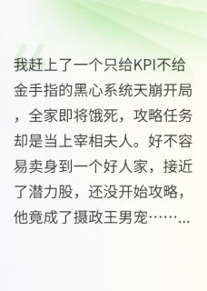 爆款热文沈行简阿蓉政王在线阅读-攻略对象是摄政王的男宠？全章节列表