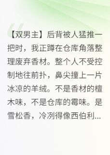 沈砚赵坤雪松香全文阅读最新 沈砚赵坤雪松香小说目录