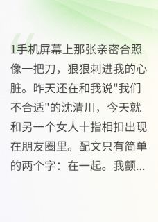 他分手第二天就有了新欢是什么小说陈墨沈清川苏晚全本免费阅读