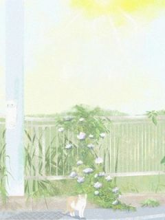 盛夏照晚晴全本小说（盛夏照晚晴）全文阅读