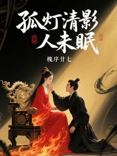 爆款小说孤灯清影人未眠主角楚凤吟萧羡之全文在线完本阅读