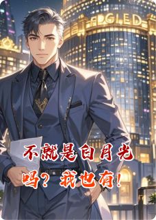 独家不就是白月光吗？我也有！全本大结局小说阅读-暗夜阅读网