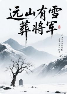 远山有血藏将军小说的书名是什么