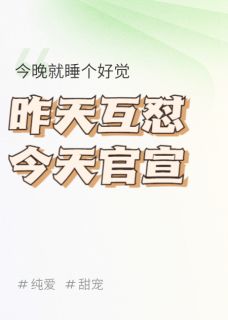 林总今天也在和苏总互怼(全本)林深苏沐完整章节列表免费阅读-暗夜阅读网