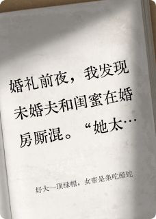 抖音苏晚林婉婉小说叫什么名字