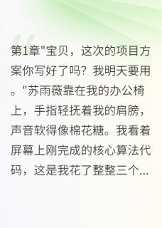老婆偷我代码卖给前男友三年(新书)大结局在线阅读