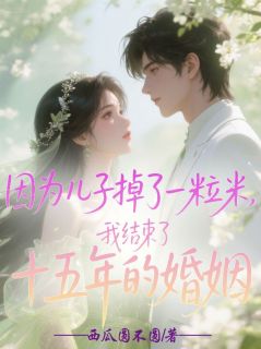 因为儿子掉了一粒米，我结束了十五年的婚姻在哪免费看，薄逸辰孙念雨小说章节目录阅读-暗夜阅读网