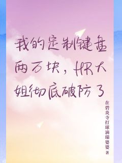 我的定制键盘两万块，HR大姐彻底破防了无广告阅读 王秀莲小林免费在线阅读