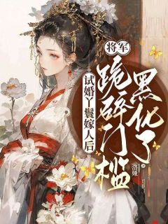 试婚丫鬟嫁人后，将军跪碎门槛黑化了(洛婴宁江雁鸣)小说全章节目录阅读