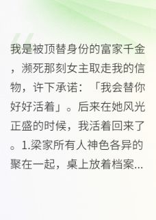 我是被顶替身份的富家千金在哪免费看，靳禾祁商梁晏礼小说章节目录阅读