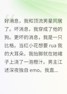 书荒推荐好消息，我和顶流男星同居了(江述林曼曼)在线试读