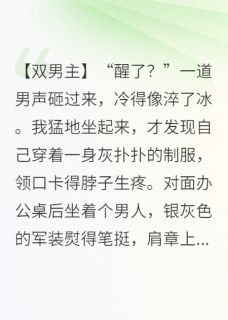精彩小说陆凛张启明穿成O后，元帅失控了全文目录畅读