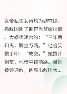 凤隐朝堂：赘婿今天退婚了吗小说全集(萧灼谢容)无弹窗广告阅读-暗夜阅读网