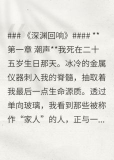 深渊中回响完整版免费阅读，闻夜方舟小说大结局在哪看