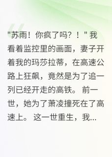 妻子开车追高铁五百里我躺赢了小说最新章节 苏雨赵欣萧凌结局是什么