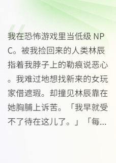主角沈危肖钰林辰小说完整版最新章节-我在恐怖游戏里当低级NPC免费阅读全文-暗夜阅读网