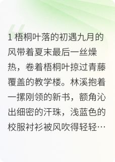 主角林溪江熠小说，夏夜晚风的约定免费阅读全文-暗夜阅读网