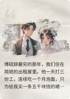 爆款热文傅砚辞苏沐瑶在线阅读-嫁给男友死对头后，他跪求原谅全章节列表