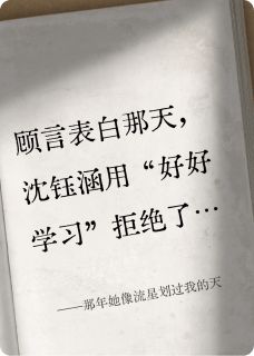 书荒必备那年她像流星划过我的天全文章节阅读