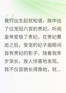书荒推荐族中出了位宠冠六宫的贵妃(沈晔沈怀宴)在线试读-暗夜阅读网
