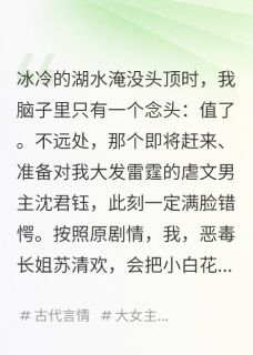我穿成了虐文女主的恶毒长姐主角是沈君钰苏清瑶萧景行小说百度云全文完整版阅读