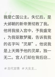 主人公萧彻陆灵犀在线免费试读失忆后，我被骗去给仇人当替身最新章节列表