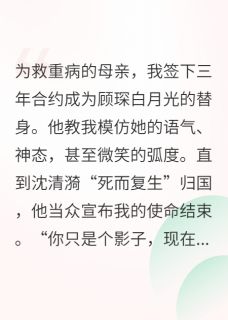 顾琛沈清漪小说契约替身的绝地反击免费阅读
