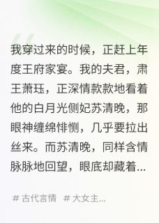 你斗了半天，不知道我是穿越的吗萧珏苏清晚无广告在线阅读