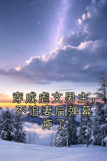 顾衍林晚小说<穿成虐文男主，不追妻后弹幕炸了>全文在线阅读
