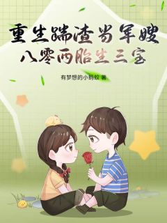 重生踹渣当军嫂，八零两胎生三宝！许淮宁陆沉舟大结局小说全章节阅读-暗夜阅读网
