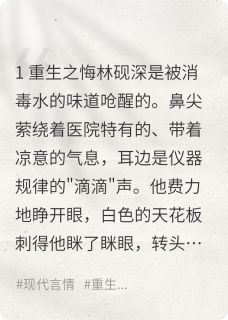 重来的盛夏完整版免费阅读，苏晚林砚深小说大结局在哪看-暗夜阅读网