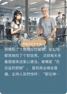 主角苏晚沈砚苏薇薇小说爆款赘婿是团宠大佬完整版小说
