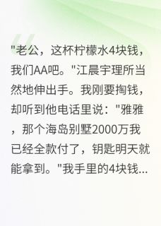 老公连4块钱都要AA却给别人2千万免费阅读全文，主角江晨宇秦雅薇薇小说完整版最新章节