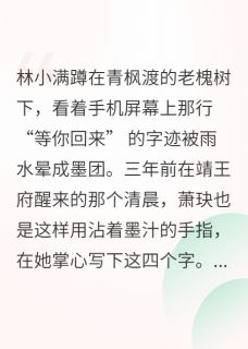 抖音完结青枫渡畔月长圆林小满萧玦(全文在线阅读)
