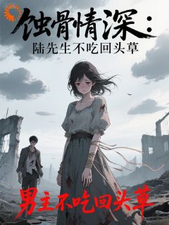 抖音小说蚀骨情深：陆先生不吃回头草主角陆沉苏蔓全文小说免费阅读