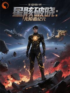 抖音小说星骸破晓：无阶者纪元主角林辰苏沐月全文小说免费阅读
