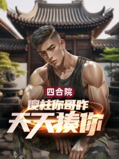 四合院：傻柱你哥咋天天揍你？全集小说_傻柱何雨水秦淮茹完结版阅读-暗夜阅读网