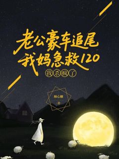 老公豪车追尾我妈急救120,我杀疯了在线全文阅读-主人公秦越徐嫣然小说-暗夜阅读网