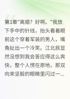 军官老公假离婚我爽快答应了小说主角是江北辰林雪梅雨菲全文完整版阅读