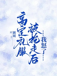 新上高定礼服被抢走后，我怒了镀周小说免费阅读