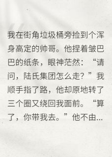 陆琛林晚捡个霸总是路痴小说完整版