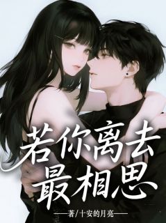 若你离去最相思小说百度云完整章节列表免费阅读-暗夜阅读网