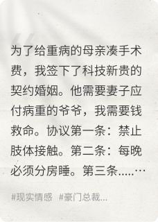冰山总裁满脑子都是撕毁合约小说的书名是什么-暗夜阅读网