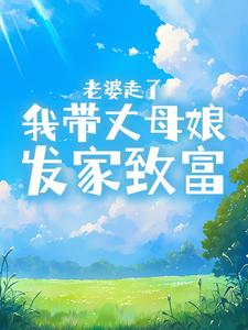 ​​老婆走了，我带丈母娘发家致富​​小说高进蒋白云免费阅读-暗夜阅读网
