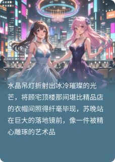 林晓苏晚沈清如小说(错位人生，没有赢家)_林晓苏晚沈清如小说最新章节-暗夜阅读网