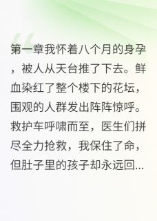 录音笔里的杀婴计划小说的书名是什么-暗夜阅读网