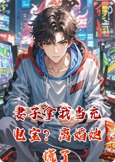 抖音小说妻子拿我当充电宝？离婚她慌了苏晚陆子轩全文txt