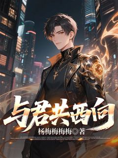 与君共西向阳景周诺岩-小说txt全文阅读